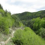 Deyanira * Gorno Dryanovo