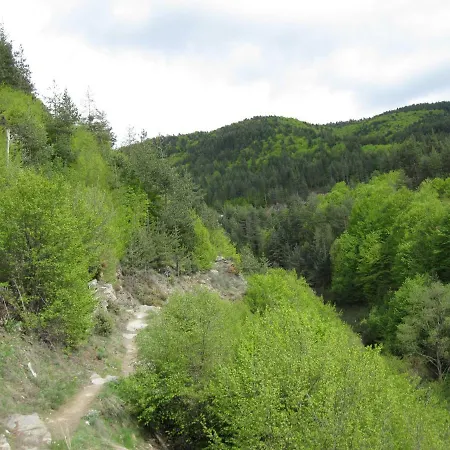 Deyanira * Gorno Dryanovo